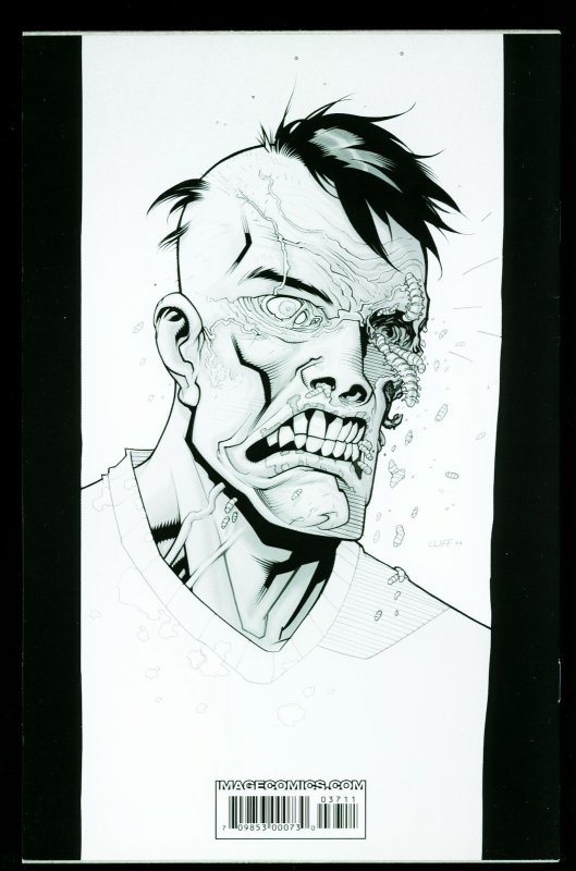 Walking Dead #37  2007 - Image  -NM - Comic Book