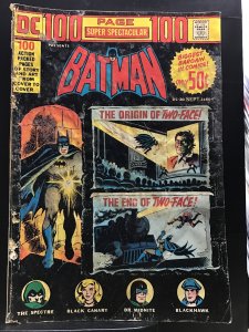 DC 100-Page Super Spectacular #20 (1973)
