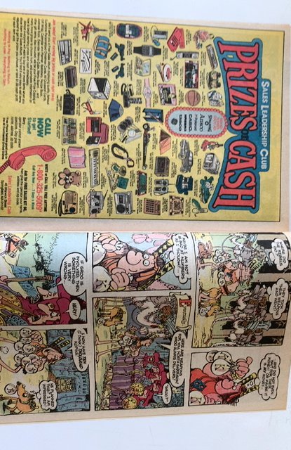 Sergio AragonÃƒÂ©s Groo the Wanderer #31 (1987)