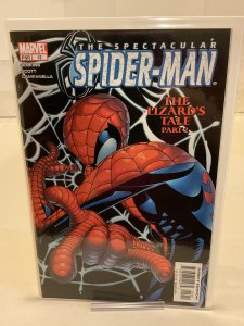 Spectacular Spider-Man #12  2004  9.0 (our highest grade)