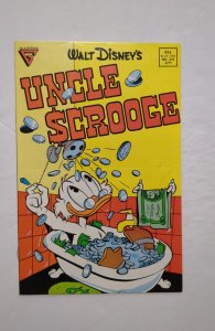 Uncle Scrooge #216 (1987) VF/NM 9.0