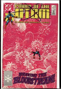 Power of the Atom #13 (1989) The Atom