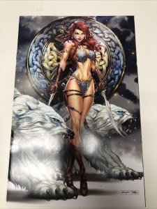 Invincible Red Sonja # 4 Variant (NM) Dynamite Entertainment • Jimmy Palmiotti