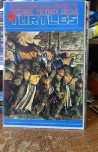 Teenage Mutant Ninja Turtles #35 (1991)