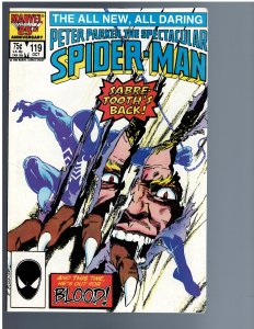 Spectacular Spider-Man #119 (1986)