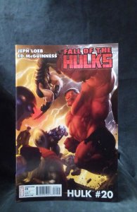 Hulk #20 Variant Cover (2010)