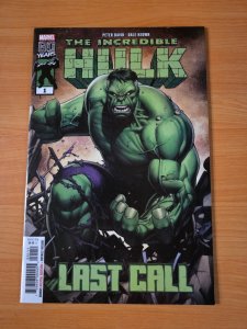 Incredible Hulk: Last Call #1 One-Shot ~ NEAR MINT NM ~ 2019 Marvel Comics