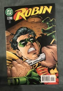 Robin #29 (1996)