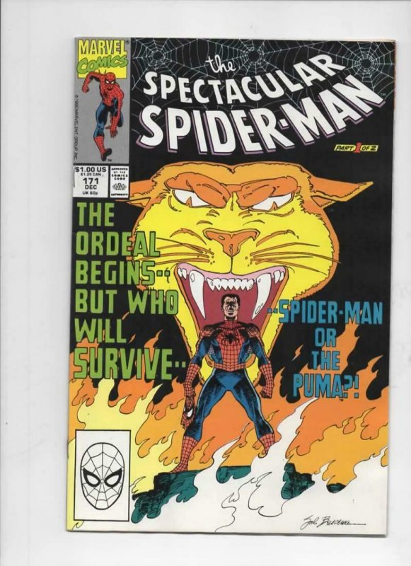 Peter Parker SPECTACULAR SPIDER-MAN #171 172 173 VF 1976 1990 1991, 3 issues