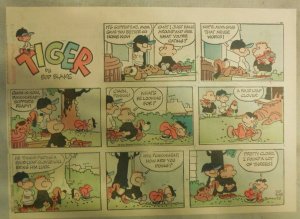 (6) Tiger by Bud Blake from 1972 Half Page Size Full Color Pages !