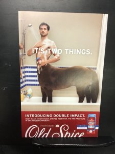 Punisher: Frank Castle MAX #67 (2009)nm