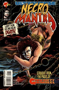 Lord Pumpkin/Necromantra #1 (1995)