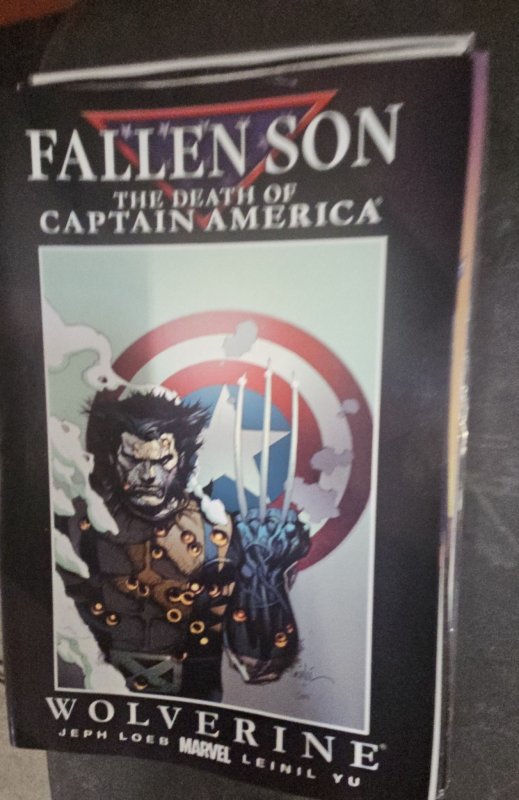 Fallen Son: The Death of Captain America Yu Cover (2007)