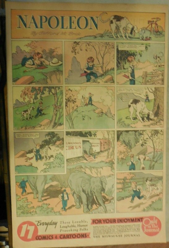 Napoleon the Dog Sunday by Clifford McBride from 10/29/1933 Full Page Size !