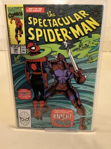 Spectacular Spider-Man #166  1990  VF