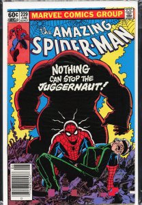 The Amazing Spider-Man #229 (1982) Spider-Man