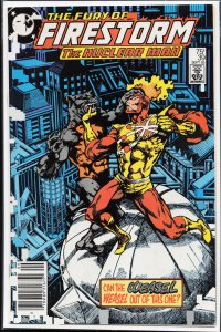 The Fury of Firestorm #39 (1985) Firestorm