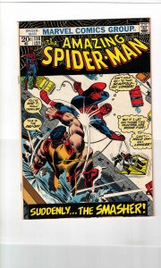 The Amazing Spider-Man #116 (1973) 6.5 FN+