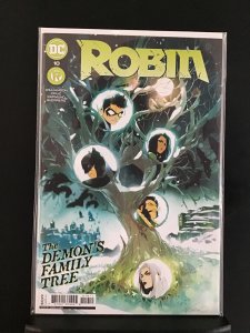 Robin #10 (2022)