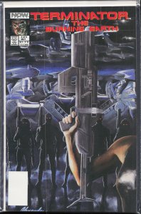 The Terminator: The Burning Earth #3 Direct Edition (1990) The Terminator