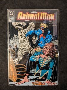 Animal Man #28 (1990) Animal Man