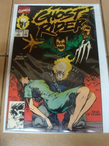 Ghost Rider #23 1992) Howard Mackie Story Mark Texeira Cover & Art