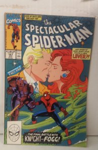The Spectacular Spider-Man #167 (1990)