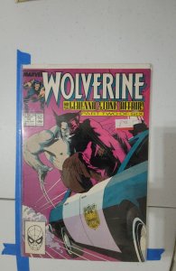 Wolverine #12 (1989) Wolverine 