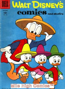 WALT DISNEY'S COMICS AND STORIES (1940 Series)  (DELL) #208 Fine Comics
