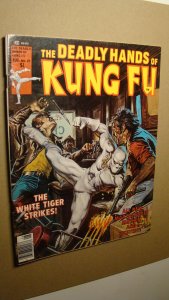 DEADLY HANDS OF KUNG FU 27 *SOLID* EARL NOREM ART EARLY WHITE TIGER MANTLO STORY