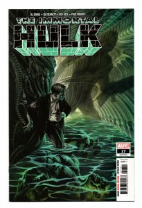 IMMORTAL HULK #17 (2019) ALEX ROSS | 1ST APP RICK JONES AS SUBJECT B
