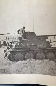 Panzenjager in action, armor#7,dario,1973,great ww2 tank pics