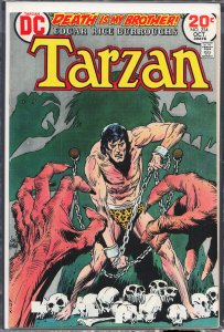 Edgar Rice Burroughs' Tarzan #224 (1973)