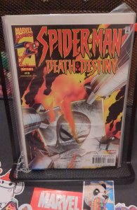 Spider-Man: Death and Destiny #3 (2000)