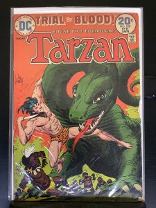 Tarzan #228 (1974)
