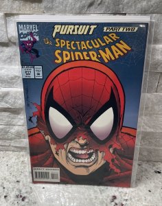 Marvel Comics The Spectacular Spider-Man #211 April 1994 Pursuit Part 2 NM