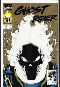 Ghost Rider #15 Second Print Cover (1991) Ghost Rider