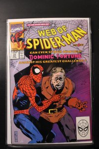 Web of Spider-Man #71 Direct Edition (1990)