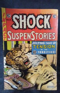 Shock SuspenStories #12 (1953)