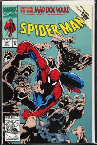 Spider-Man #29 (1992) Spider-Man