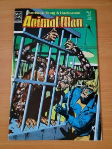Animal Man #3 ~ NEAR MINT NM ~ 1988 DC Comics