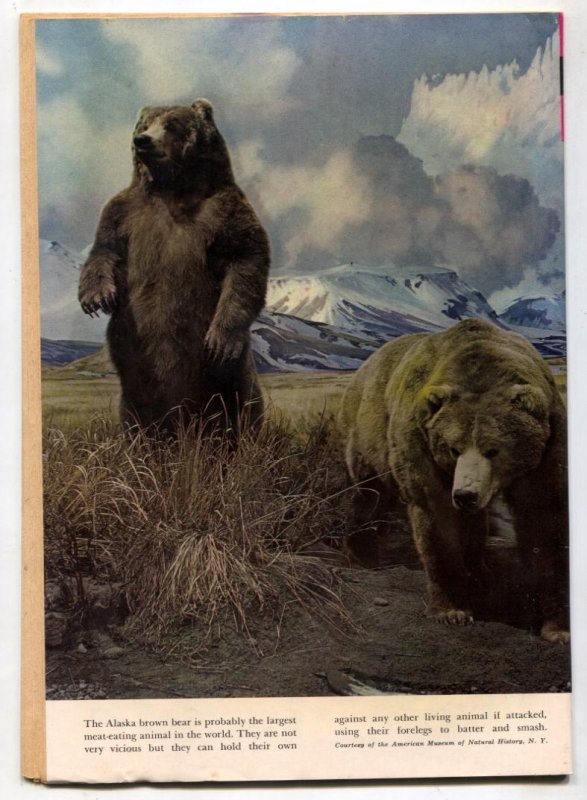 Lone Ranger #7  1967 - Gold Key  -FN - Comic Book