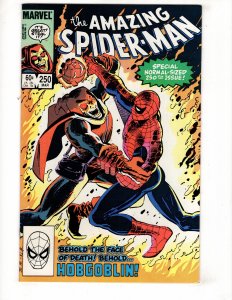 The Amazing Spider-Man #250 (1984) HOBGOBLIN Appearance / ID#719