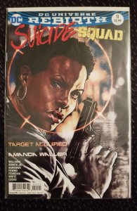 Suicide Squad #11 Lee Bermejo Variant Cover (2017) nm-