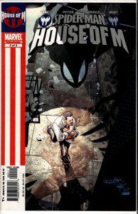Spider-Man: House of M #2 (2005) Spider-Man