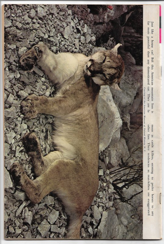 The Lone Ranger #9 - Silver Age - Jan. 1968 (VF-)