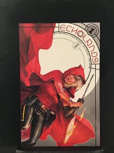 Echolands #1 (2021) Echolands