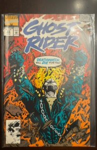 Ghost Rider #23 (1992) Ghost Rider 