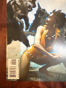 Vixen: Return of the Lion #2 (2009)