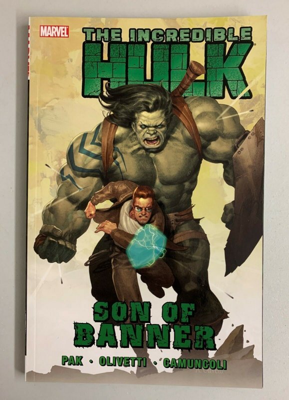 Incredible Hulk Vol. 1 Son Of Banner (Marvel 2010) Greg Pak Paperback  